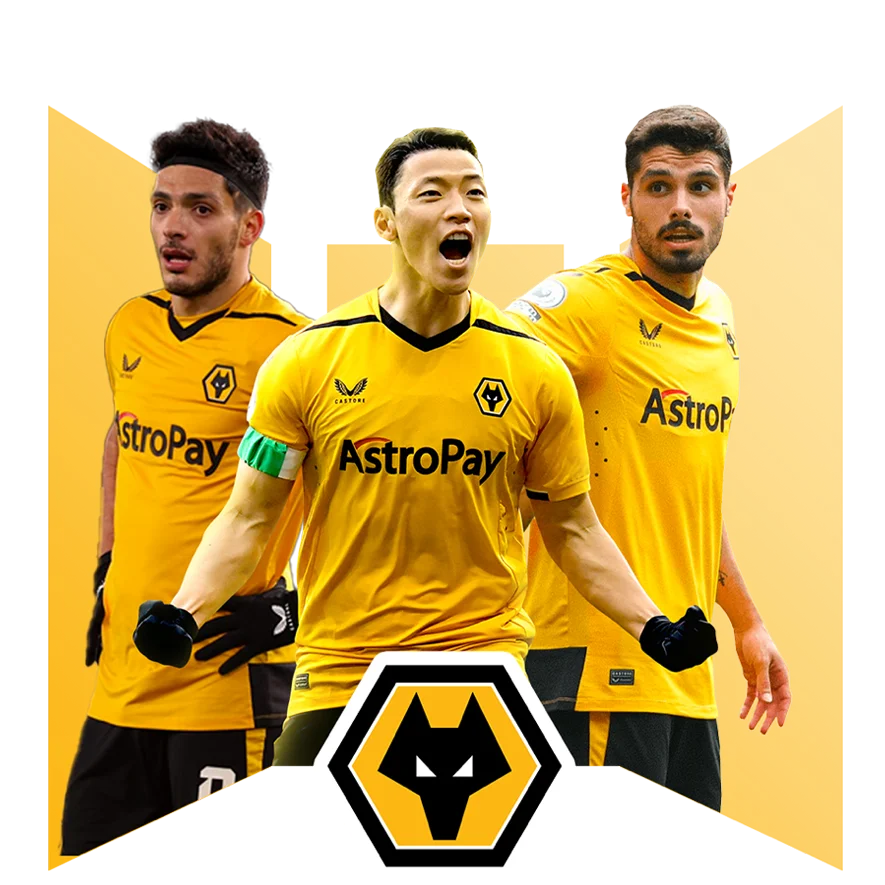 banner doi tac wolverhampton wanderers