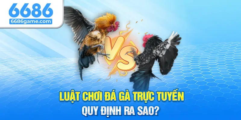 Luật chơi đá gà trực tuyến đơn giản