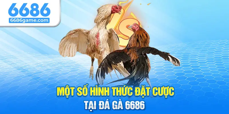 Những hình thức đặt cược đa dạng có tại sân chơi