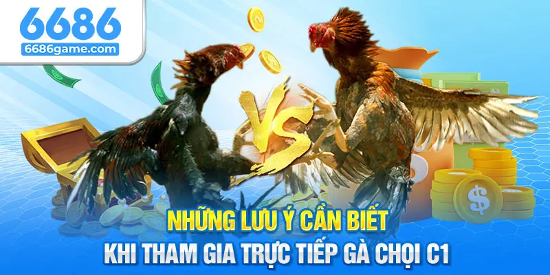 Một số lưu ý cần ghi nhớ khi tham gia trực tiếp gà chọi C1an biet khi tham gia truc tiep ga choi c1