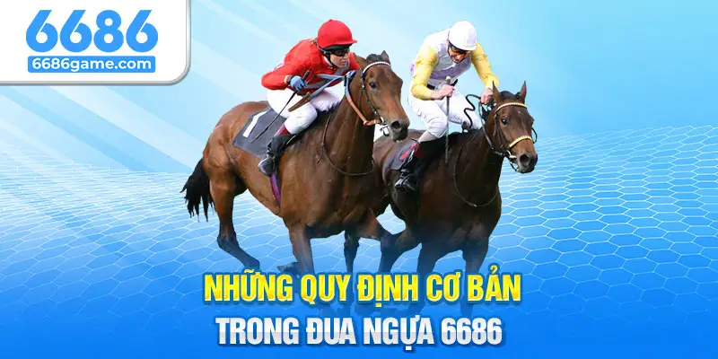 Những quy định cơ bản trong đua ngựa 6686