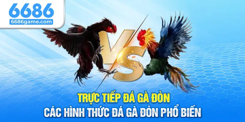 Các hình thức trực tiếp đá gà đòn hiện nay ở 6686