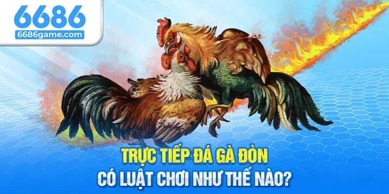 Luật chơi chi tiết