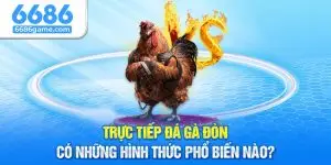 trực tiếp đá gà đòn