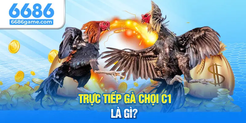 Khái niệm về hình thức chơi trực tiếp gà chọi C1