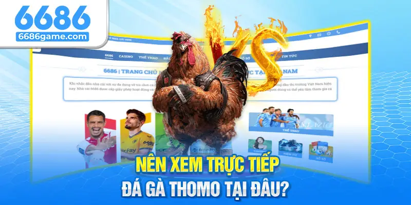 Xem trực tiếp đá gà tại 6686 để có chất lượng tốt nhất